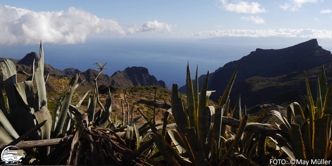 Teneriffa Sehenswürdigkeiten - Aussichtspunkt Mirador de Cherfe