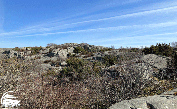 Göteborg - Fotostopp Hälsö