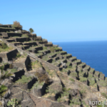 Bildnachweis 413 cr marion koch ausflugstipps la gomera terrassenfelder 622px
