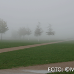 Bildnachweis 105 CR monika gask nebel in koblenz 512px
